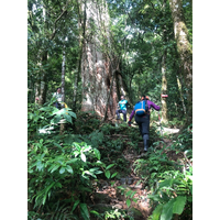 2020.08   赫威山、北插天山、八仙神木群
2021.01   東眼與拉卡登山之旅；新北之最塔曼山
2021.04   教育訓練
2021.07   志繼山東眼山拉卡山O型縱走 

 