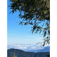 時間：112.11.18 ; 112.12.11
地點：雪山東峰 ;巨人之手&山蘇林